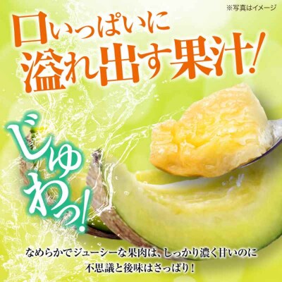 【先行受付】【6月下旬から順次発送】甘さ極まる希少品種!メロン 黄美香(2-3玉)[AGCX001]