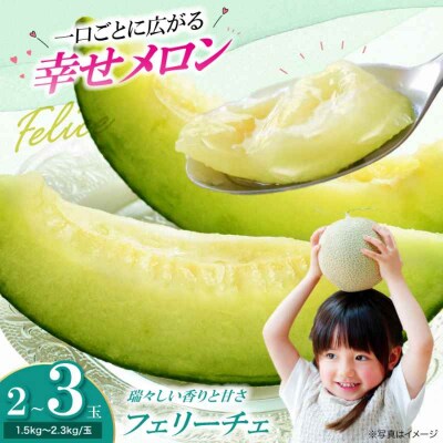 【先行受付】【6月上旬から順次発送】 メロン フェリーチェ 2-3玉 [AGCX002]