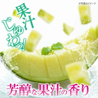 【先行受付】【6月上旬から順次発送】 メロン フェリーチェ 2-3玉 [AGCX002]