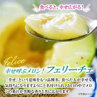 【先行受付】【6月上旬から順次発送】 メロン フェリーチェ 2-3玉 [AGCX002]