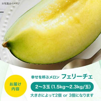 【先行受付】【6月上旬から順次発送】 メロン フェリーチェ 2-3玉 [AGCX002]