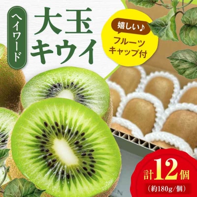 【先行受付】【11月上旬から順次発送】 キウイフルーツ 特大(5L) 12個[AGDC001]