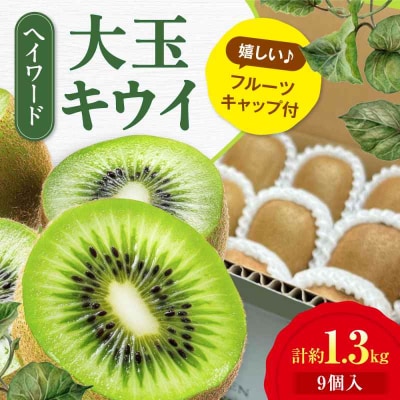 【先行受付】【11月上旬から順次発送】キウイフルーツ 大玉(3L-4L) 9個 [AGDC002]