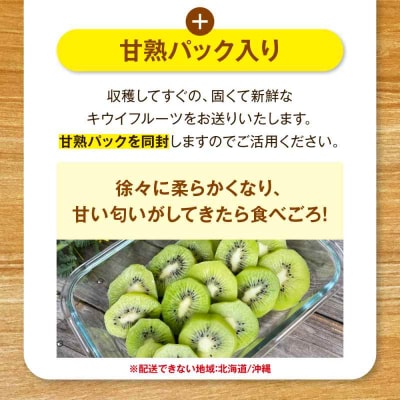 【先行受付】【11月上旬から順次発送】キウイフルーツ 大玉(3L-4L) 9個 [AGDC002]