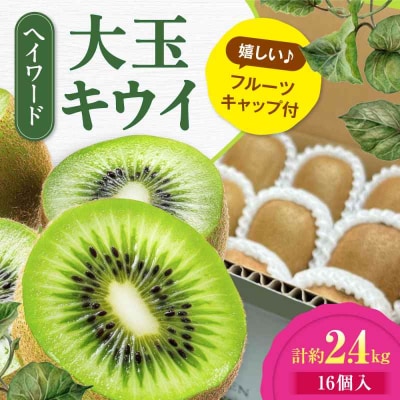 【先行受付】【11月上旬から順次発送】キウイフルーツ大玉(3L-4L) 16個 [AGDC003]