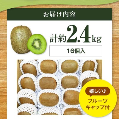 【先行受付】【11月上旬から順次発送】キウイフルーツ大玉(3L-4L) 16個 [AGDC003]