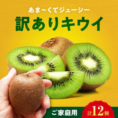 【先行受付】【11月上旬から順次発送】【ご家庭用】キウイフルーツ 10個 [AGDC006]