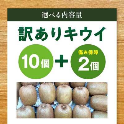 【先行受付】【11月上旬から順次発送】【ご家庭用】キウイフルーツ 10個 [AGDC006]