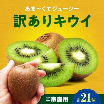 【先行受付】【11月上旬から順次発送】【ご家庭用】キウイフルーツ 18個 [AGDC007]