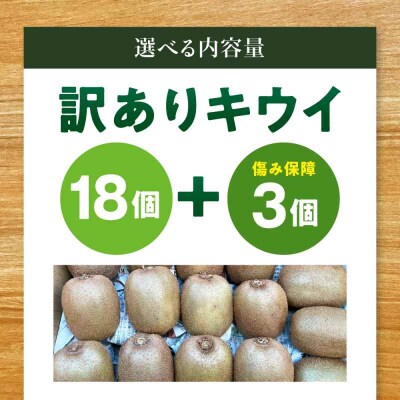 【先行受付】【11月上旬から順次発送】【ご家庭用】キウイフルーツ 18個 [AGDC007]