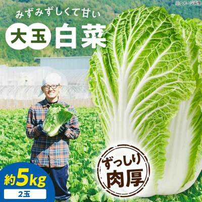 【先行受付】【11月下旬から順次発送】 白菜 3L×2玉(約5kg) [AGDH007]