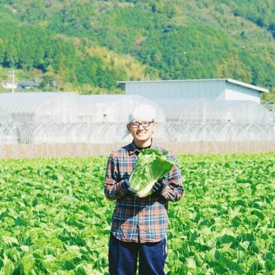 【先行受付】【11月下旬から順次発送】 白菜 3L×2玉(約5kg) [AGDH007]
