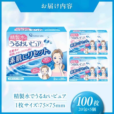 精製水でうるおいピュア 20包×5個(100包) [AGEH002]
