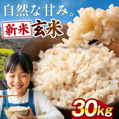 【先行受付】【9月中旬から順次発送】玄米 30kg [AGEI001]