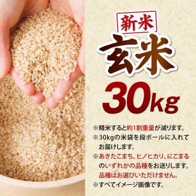 【先行受付】【9月中旬から順次発送】玄米 30kg [AGEI001]