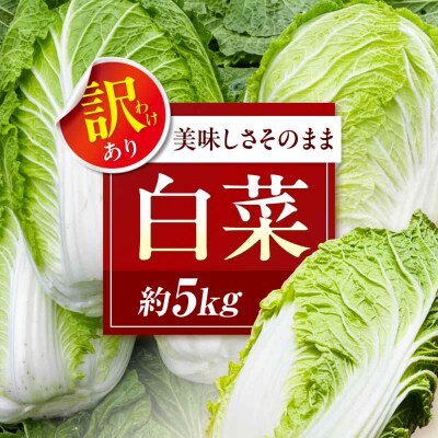 【先行受付】【12月上旬から順次配送】訳あり白菜 約5kg(3玉から4玉) [AGEK001]
