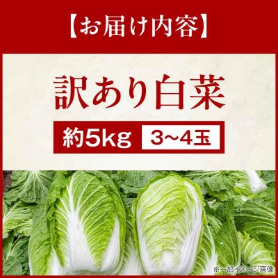 【先行受付】【12月上旬から順次配送】訳あり白菜 約5kg(3玉から4玉) [AGEK001]
