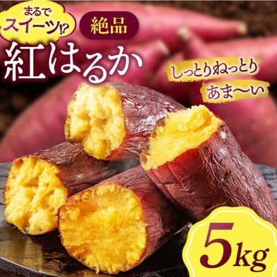 【先行受付】【9月中旬から順次発送】さつまいも(紅はるか)5kg [AGAP020]