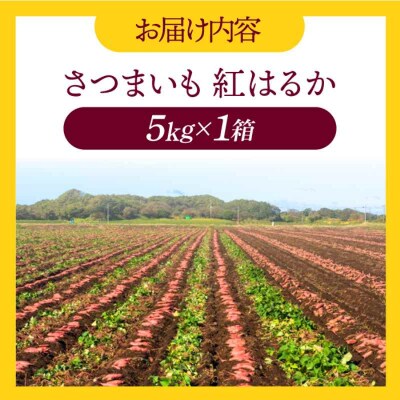 【先行受付】【9月中旬から順次発送】さつまいも(紅はるか)5kg [AGAP020]