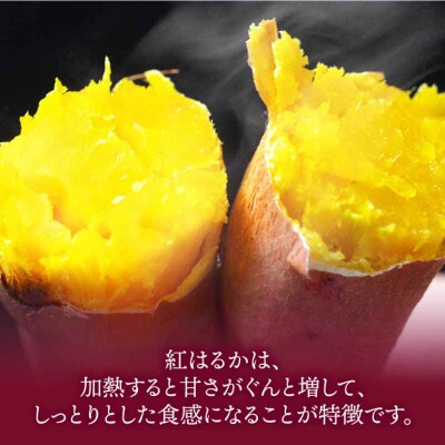 【先行受付】【9月中旬から順次発送】さつまいも(紅はるか)5kg [AGAP020]