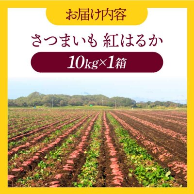 【先行受付】【9月中旬から順次発送】さつまいも(紅はるか)10kg [AGAP021]