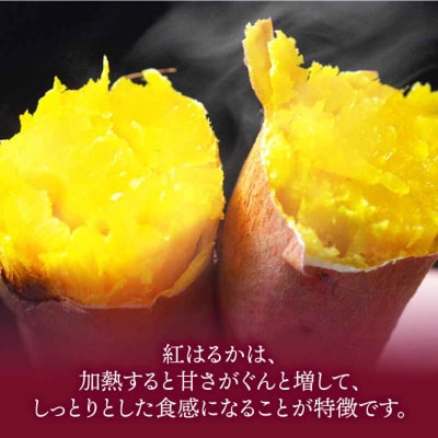 【先行受付】【9月中旬から順次発送】さつまいも(紅はるか)10kg [AGAP021]
