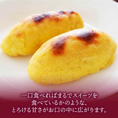 【先行受付】【9月中旬から順次発送】さつまいも(紅はるか)10kg [AGAP021]
