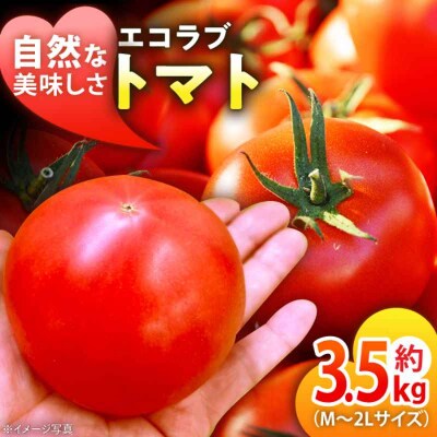 【先行受付】【5月上旬から順次発送】エコラブトマト(M-2L)約3.5kg [AGBN012]