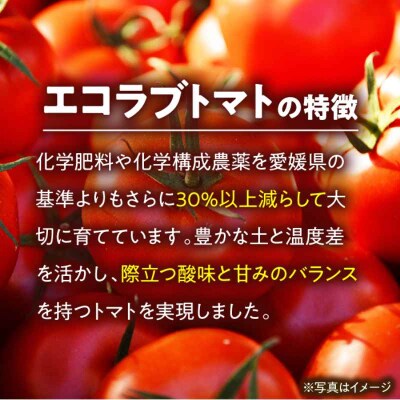 【先行受付】【5月上旬から順次発送】エコラブトマト(M-2L)約3.5kg [AGBN012]