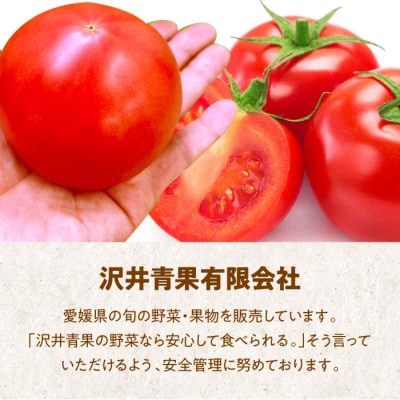 【先行受付】【5月上旬から順次発送】エコラブトマト(M-2L)約3.5kg [AGBN012]