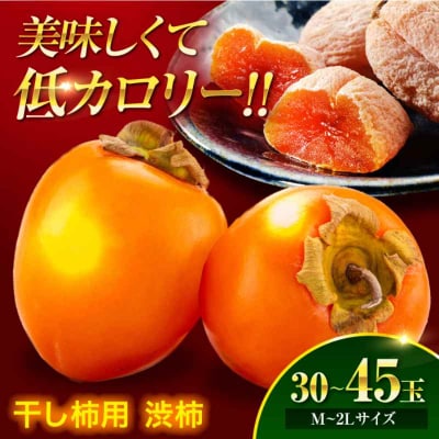 【先行受付】【11月上旬より順次発送】手作干し柿に!あたご柿 M~2L 10kg[AGBN022]