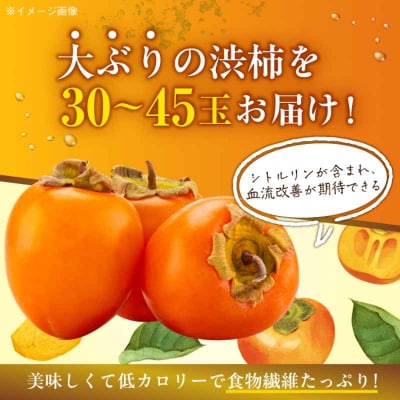 【先行受付】【11月上旬より順次発送】手作干し柿に!あたご柿 M~2L 10kg[AGBN022]