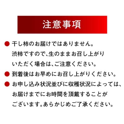 【先行受付】【11月上旬より順次発送】手作干し柿に!あたご柿 M~2L 10kg[AGBN022]