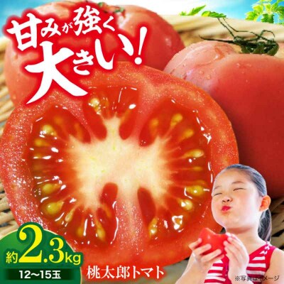 【先行受付】【4月中旬から順次発送】 トマト 桃太郎 12-15玉 約2.3kg [AGCX003]