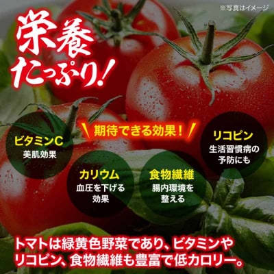 【先行受付】【4月中旬から順次発送】 トマト 桃太郎 12-15玉 約2.3kg [AGCX003]