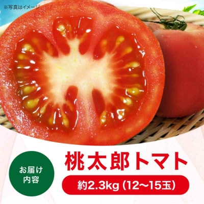【先行受付】【4月中旬から順次発送】 トマト 桃太郎 12-15玉 約2.3kg [AGCX003]