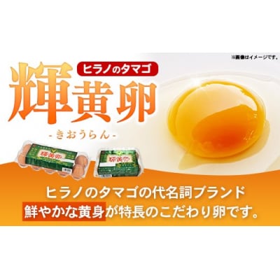 ボリュームサイズ!ヒラノのたまご【輝黄卵(きおうらん)】赤Mサイズ　180個