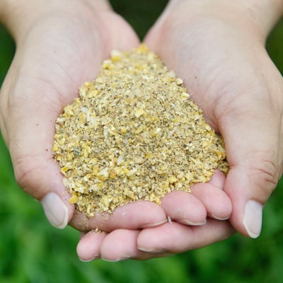 ボリュームサイズ!ヒラノのたまご【輝黄卵(きおうらん)】赤Mサイズ　180個