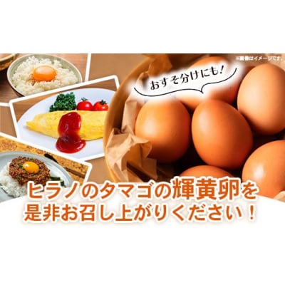 ボリュームサイズ!ヒラノのたまご【輝黄卵(きおうらん)】赤Mサイズ　180個