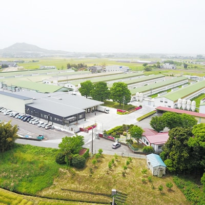 ボリュームサイズ!ヒラノのたまご【輝黄卵(きおうらん)】赤Mサイズ　180個