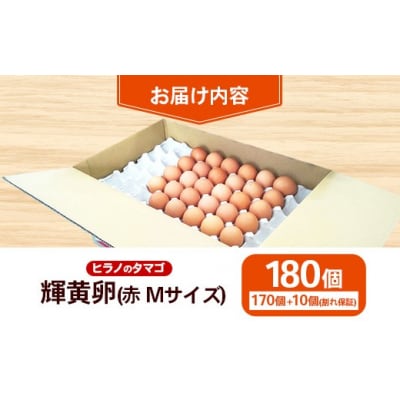 ボリュームサイズ!ヒラノのたまご【輝黄卵(きおうらん)】赤Mサイズ　180個