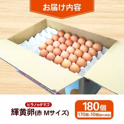 ヒラノのたまご【輝黄卵(きおうらん)】赤Mサイズ　180個【価格改定】