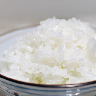 無洗米2合真空パック10袋　元気つくし　令和7年産