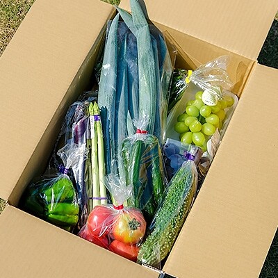 【直売所みなみの里厳選】旬の野菜・果物セット