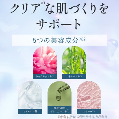 SHIKARI(シカリ) ブライトニング ウォッシュ ノーマル リフィル【詰め替え用】医薬部外品