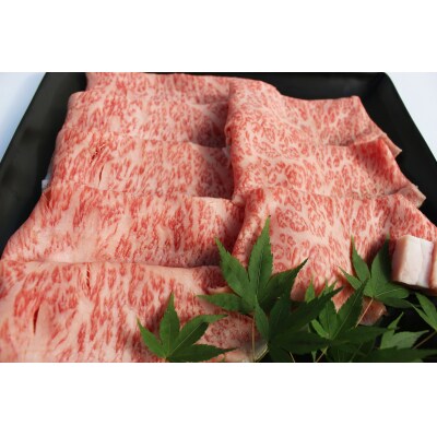 博多和牛　特選スライス　すき焼き用　A4等級以上　(450g)【202609】