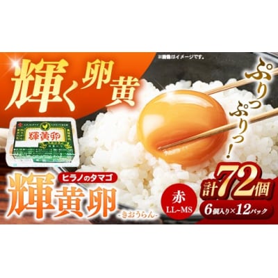 ヒラノのたまご【輝黄卵(きおうらん)】72個(6個入り12パック)