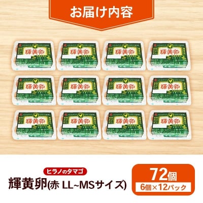 ヒラノのたまご【輝黄卵(きおうらん)】72個(6個入り12パック)