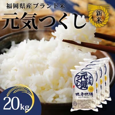 令和7年産 福岡県産米 元気つくし 合計20kg(5kg×4袋)(筑前町)