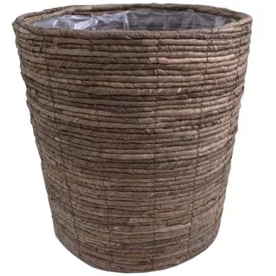 【2026年3月中旬以降発送】パキラ 7号 ブラウンバスケット鉢カバー